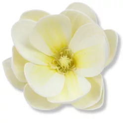  Bloomi.hu