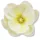  Bloomi.hu