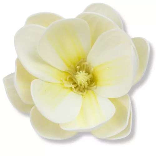  Bloomi.hu
