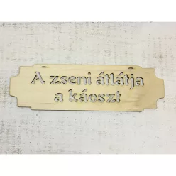 "A zseni átlátja a káoszt" tábla