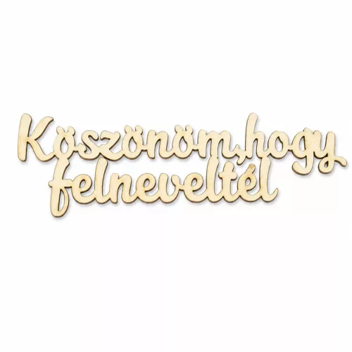 Natúr fa - "Köszönöm, hogy felneveltél" felirat 4x15cm
