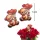  Bloomi.hu
