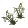  Bloomi.hu