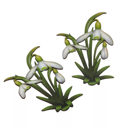  Bloomi.hu