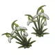  Bloomi.hu