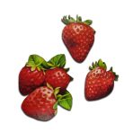 Zöldség, gyümölcs, növény