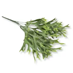  Bloomi.hu