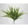  Bloomi.hu