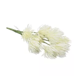  Bloomi.hu