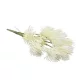  Bloomi.hu