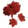  Bloomi.hu