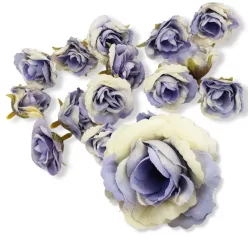  Bloomi.hu
