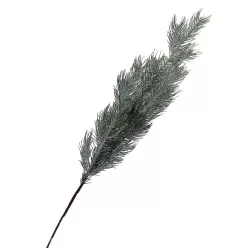  Bloomi.hu