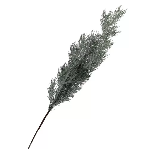  Bloomi.hu