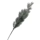  Bloomi.hu