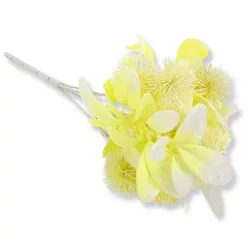  Bloomi.hu