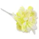  Bloomi.hu
