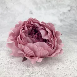  Bloomi.hu