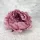  Bloomi.hu