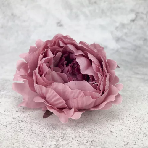  Bloomi.hu