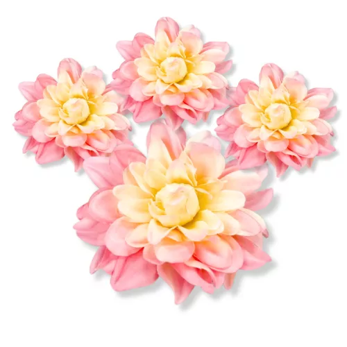  Bloomi.hu