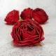 Bloomi.hu