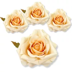  Bloomi.hu