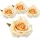  Bloomi.hu