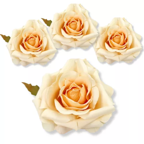  Bloomi.hu