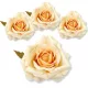  Bloomi.hu