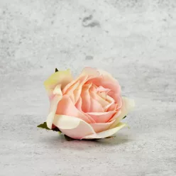  Bloomi.hu