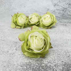  Bloomi.hu