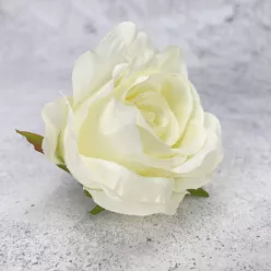  Bloomi.hu