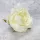  Bloomi.hu