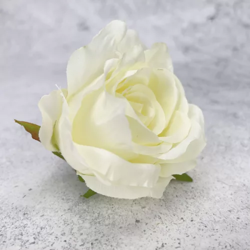  Bloomi.hu