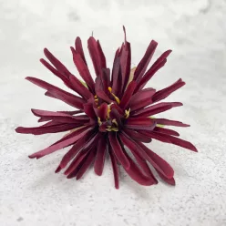  Bloomi.hu