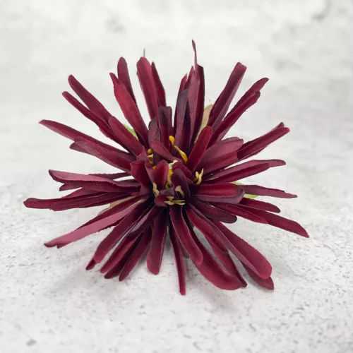  Bloomi.hu