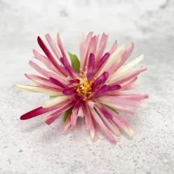  Bloomi.hu