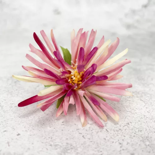  Bloomi.hu