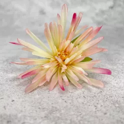  Bloomi.hu