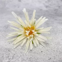  Bloomi.hu