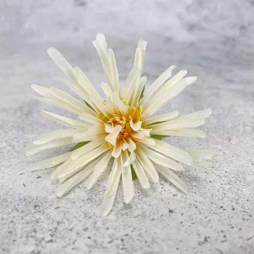  Bloomi.hu