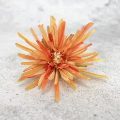  Bloomi.hu