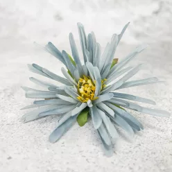  Bloomi.hu
