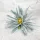  Bloomi.hu