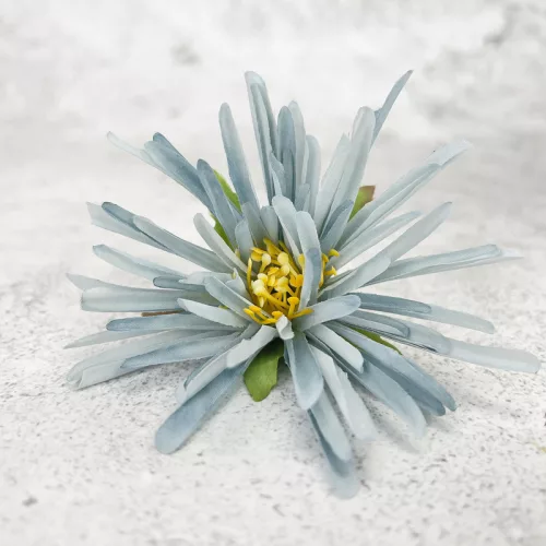 Bloomi.hu