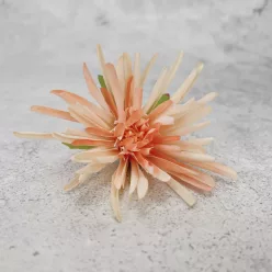  Bloomi.hu