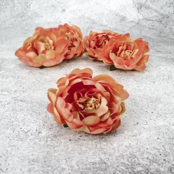  Bloomi.hu