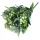  Bloomi.hu