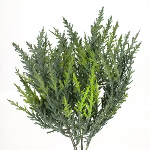 Thuja csokor sötétzöld 2db/csomag